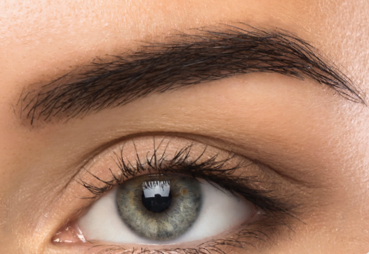 Advanced Training - Ombré / Fashion Powder Brows (668527525948)